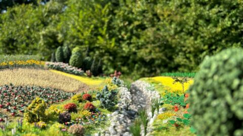 Bepflanzung in einem Garten
