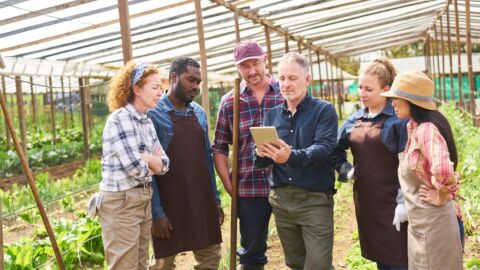 Mehrere Personen stehen in einem Gewächshaus und blicken auf ein Tablet