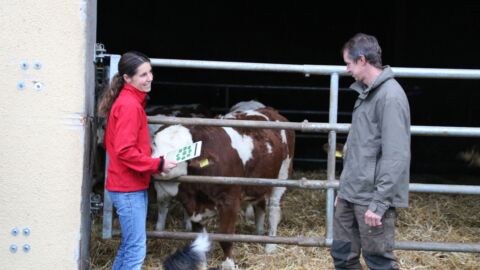 Zwei Personen vor einem Kuhstall