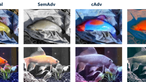 Bilder von Fischen auf verschiedene Art manipuliert.